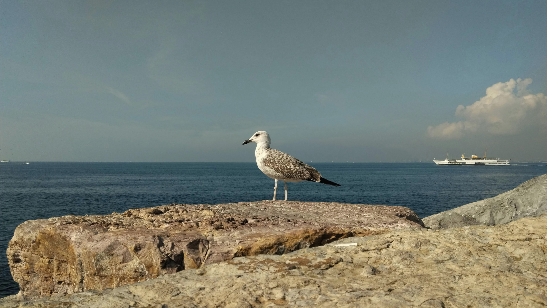 viajar a Cullera en primavera